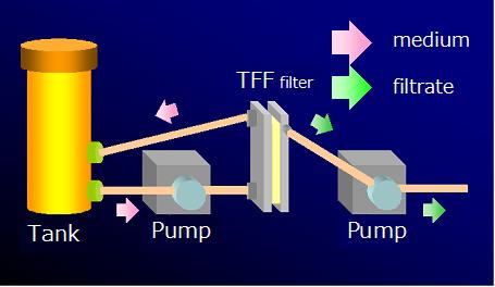 TFF膜利用による抽出、濾過（特徴）