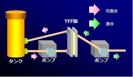 TFF膜利用による抽出、濾過（特徴）